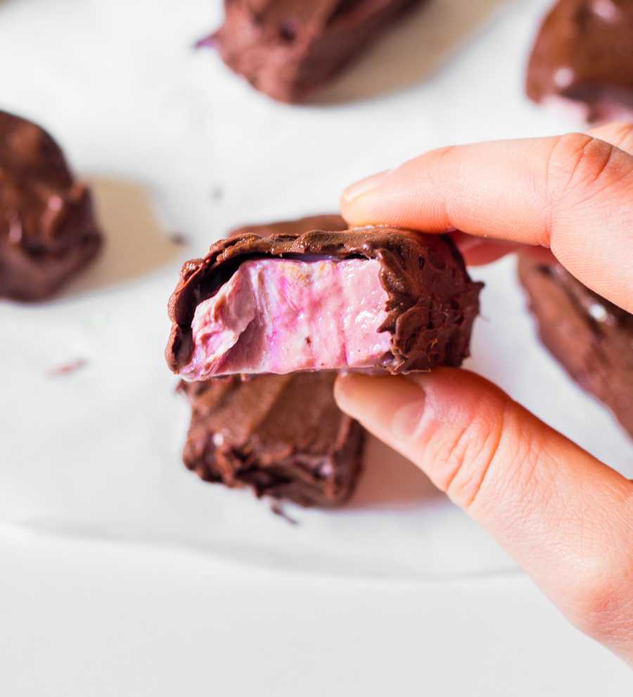 Barres Glacées au Yaourt et Chocolat