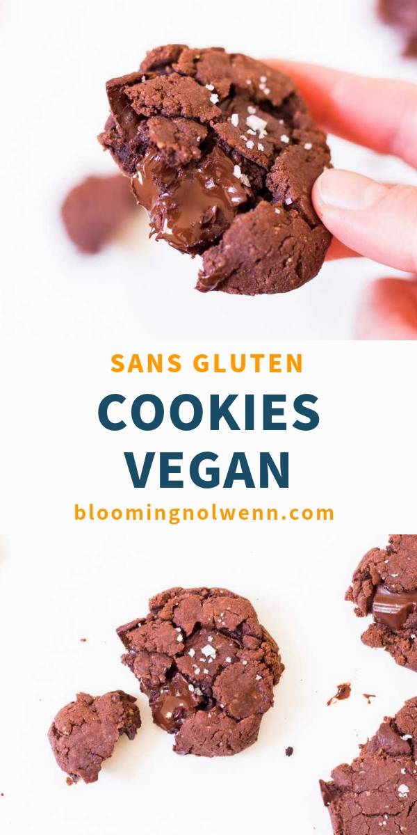 cookies vegan sans gluten cookies au chocolat